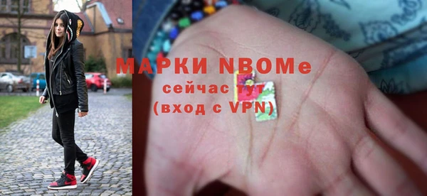 прущие грибы Абинск