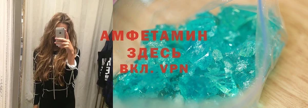прущие грибы Абинск