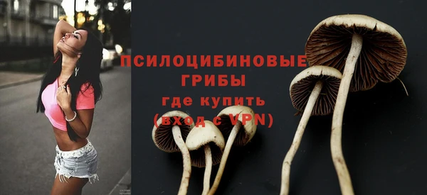 spice Абдулино