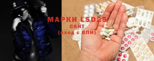 прущие грибы Абинск