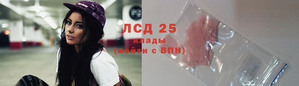 прущие грибы Абинск