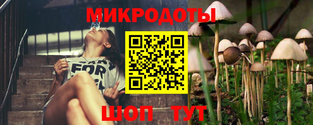 Псилоцибиновые грибы GOLDEN TEACHER  Вход с VPN  Владикавказ 