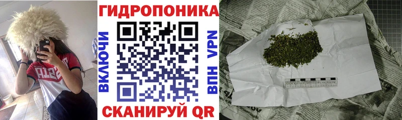 Шишки марихуана план  Владикавказ 